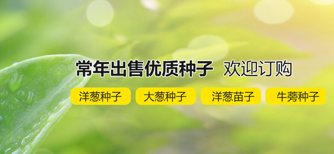 济宁广源种子有限公司